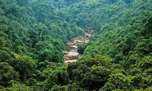‘വനനിയമ ഭേദഗതി മരണമണി’; പാർലമെന്ററി സമിതിക്കുമുമ്പാകെ കേരള പ്രിൻസിപ്പൽ ചീഫ് ഫോറസ്റ്റ് കൺസർവേറ്റർ