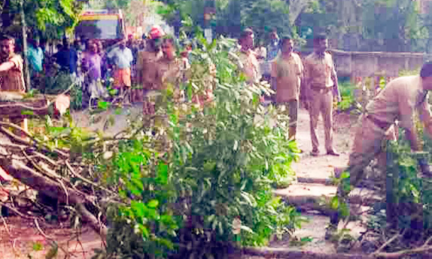 എ​ഴു​പു​ന്ന -തു​റ​വൂ​ർ റോഡിൽ മരം വീണു; ഗതാഗതം സ്തംഭിച്ചു