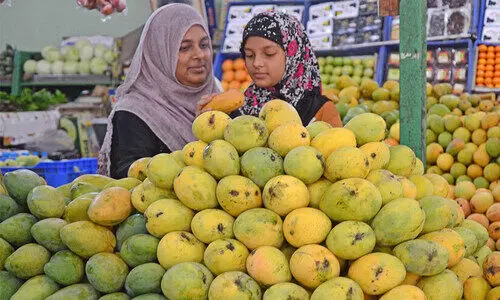 ലാൽബാഗിൽ മാമ്പഴ-ചക്ക മേളക്ക് തുടക്കം