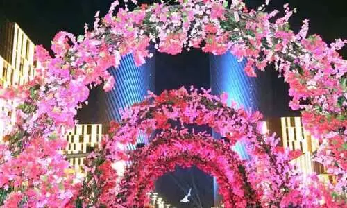 പൂത്തുലഞ്ഞ് ലുസൈൽ പൂത്തുലഞ്ഞ് ലുസൈൽ