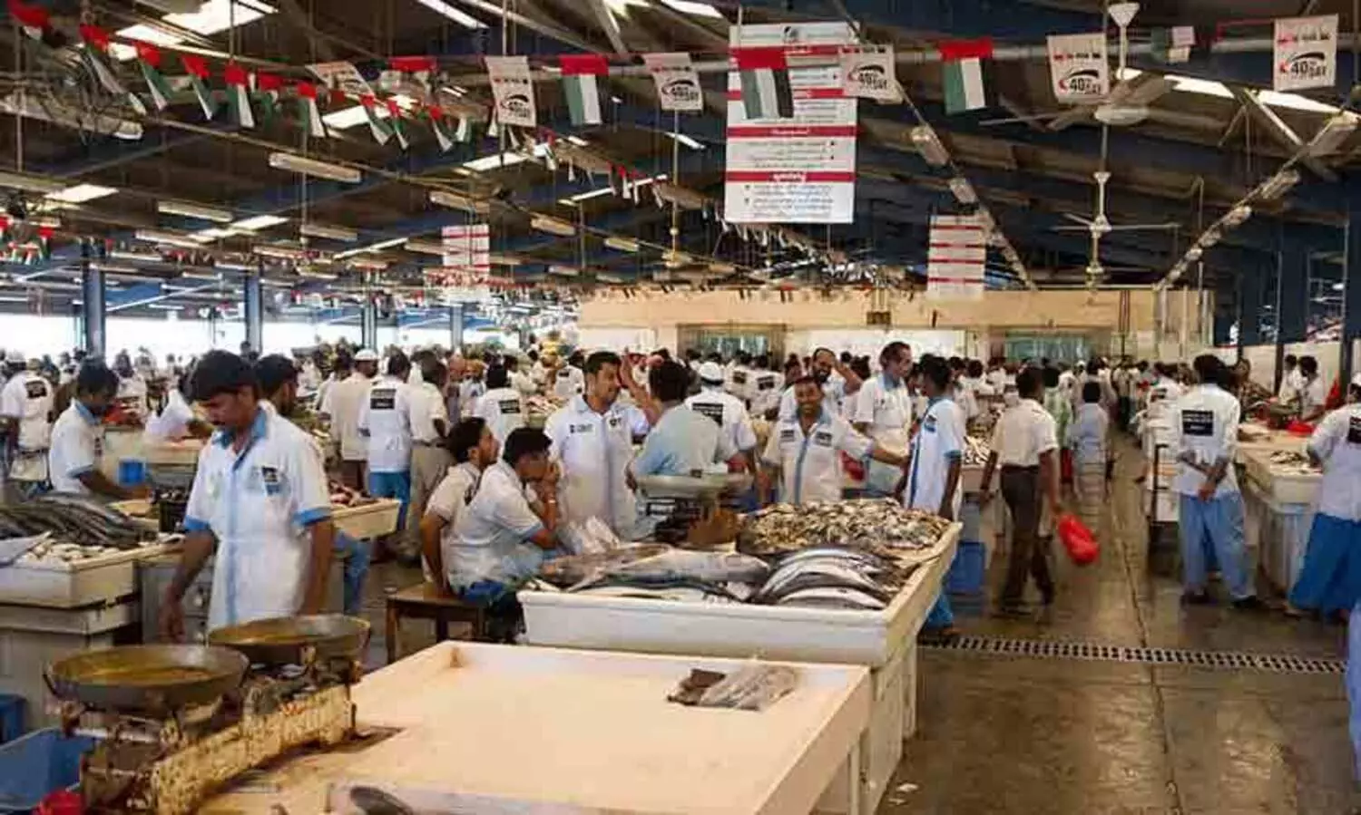 കടലലകൾ പാടുന്ന കച്ചവട പാട്ടുകൾ