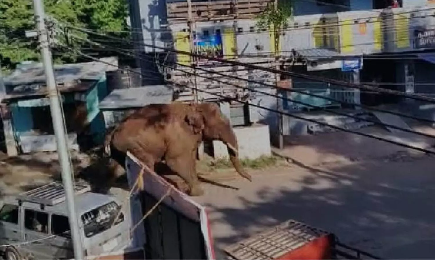 അരിക്കൊമ്പൻ ജനവാസ മേഖലയിൽ എത്തിയാൻ മയക്കുവെടിവച്ച് പിടികൂടുമെന്ന് തമിഴ്‌നാട് വനം മന്ത്രി