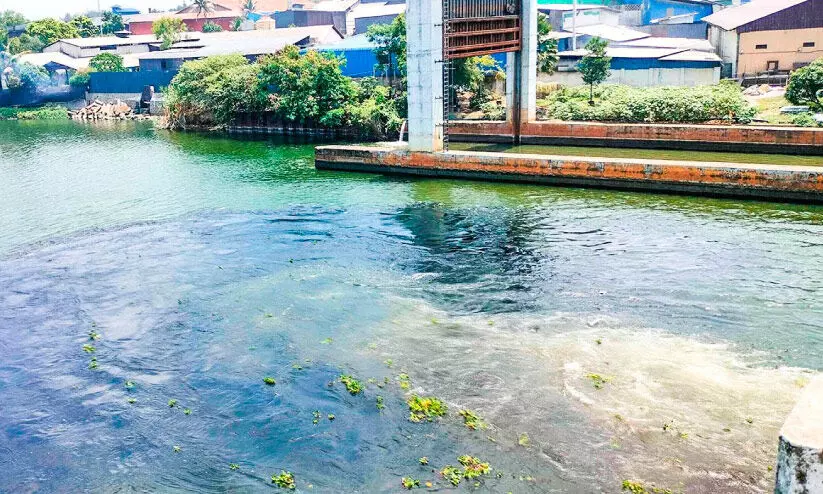 പാതാളം റെഗുലേറ്റർ ബ്രിഡ്ജിലെ ഷട്ടർ തുറന്നു; പെരിയാറിലേക്ക് വ്യവസായ മാലിന്യത്തിന്റെ കുത്തൊഴുക്ക്