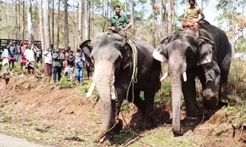 surendran kunju 7865