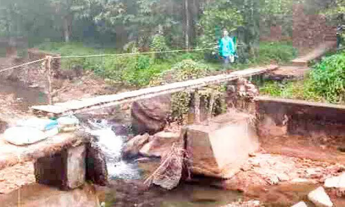 ചേലച്ചുവട് - പെരിയാർവാലി പാലം പുനർനിർമിച്ചില്ല; ദുരിതപാത താണ്ടി നാട്ടുകാർ