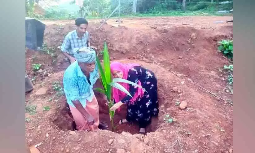 ഇസ്രായേലിലെ കൃഷിരീതി മാതൃകയാക്കി കർഷകൻ ഇസ്രായേലിലെ കൃഷിരീതി മാതൃകയാക്കി കർഷകൻ