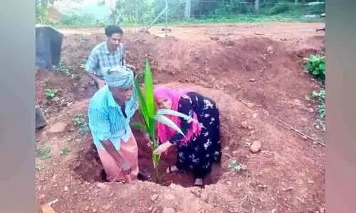 ഇസ്രായേലിലെ കൃഷിരീതി മാതൃകയാക്കി കർഷകൻ