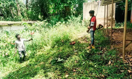 എങ്ങും സ്കൂൾ ഒരുക്കം തകൃതി; ഇടുക്കി ജില്ലതല പ്രവേശനോത്സവം പണിക്കൻകുടി ഗവ. എച്ച്.എസ്.എസിൽ