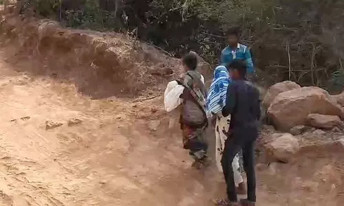 18 മാസം പ്രായമുള്ള കുഞ്ഞ് പാമ്പ് കടിയേറ്റ് മരിച്ചു; മൃതദേഹവുമായി അമ്മ നടന്നത് ആറ് കിലോമീറ്റർ