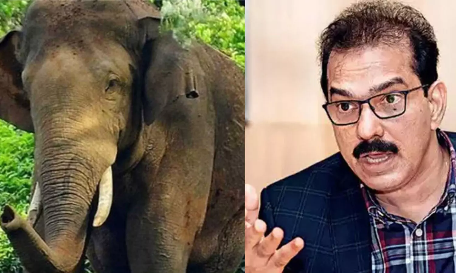 അരിക്കൊമ്പനെ കേരളത്തിന് കൈമാറണം, സുരക്ഷ ഉറപ്പാക്കണം; ഹൈകോടതിയിൽ ഹരജിയുമായി സാബു എം. ജേക്കബ്