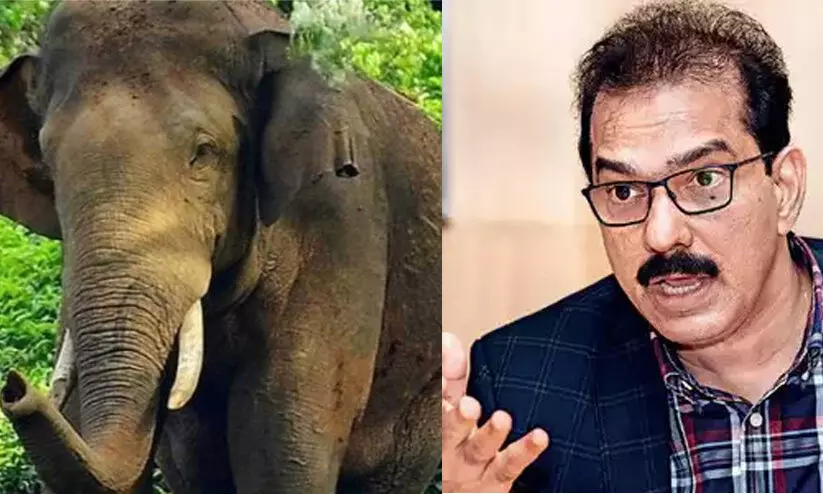 അരിക്കൊമ്പനെ കേരളത്തിന് കൈമാറണം, സുരക്ഷ ഉറപ്പാക്കണം; ഹൈകോടതിയിൽ ഹരജിയുമായി സാബു എം. ജേക്കബ്