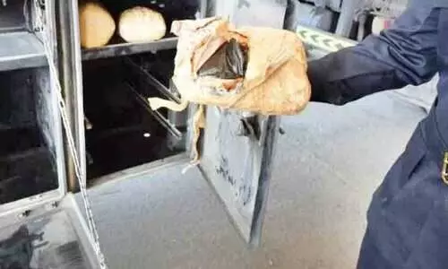 മൂ​ന്നു മാ​സ​ത്തി​നി​ടെ ഖാ​ലി​ദ്​ തു​റ​മു​ഖ​ത്തു​നി​ന്ന്​ പി​ടി​ച്ച​ത്​​ 60 കി​ലോ മ​യ​ക്കു​മ​രു​ന്ന്​