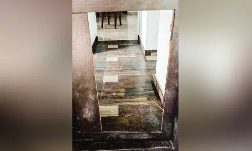 അടച്ചിട്ടുപോയ വീടിന്റെ പിൻവശത്തെ വാതിൽ തകർത്ത് 20 പവൻ കവർന്നു