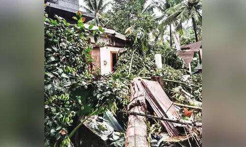 കാറ്റും മഴയും: കരുവാരകുണ്ടിൽ വ്യാപക നാശം