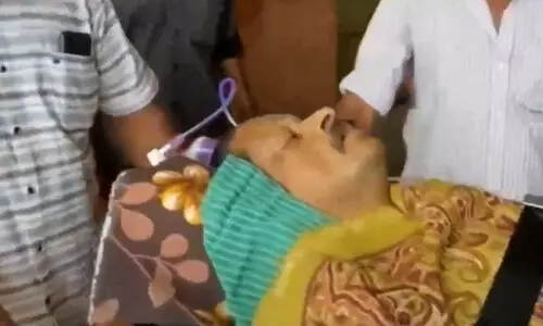 elephant attack Thekkady