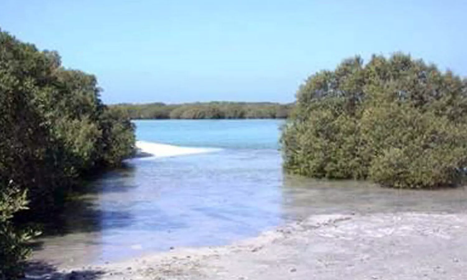 വ​ന്യ​ജീ​വി, പ്ര​കൃ​തി സം​ര​ക്ഷ​ണം; അ​ബൂ​ദ​ബി​യി​ൽ പു​തി​യ ന​യം