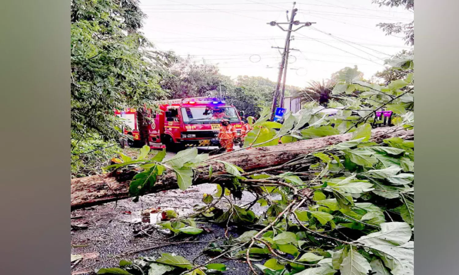 കാ​റ്റി​ലും മ​ഴ​യി​ലും വ്യാ​പ​ക നാ​ശം
