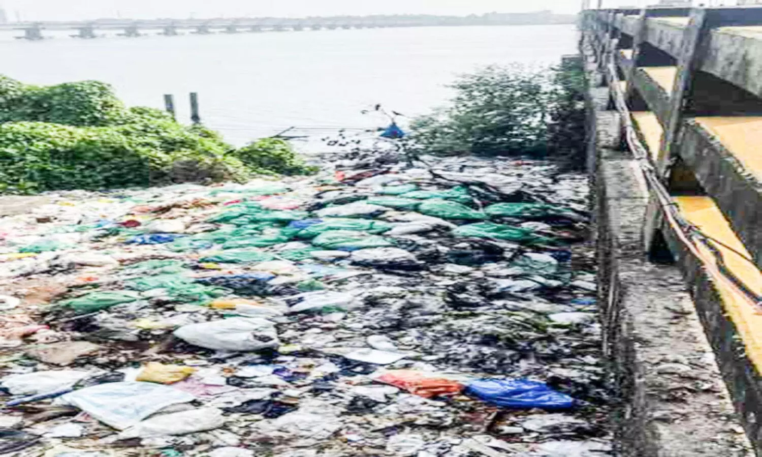 അ​രൂ​ർ​ക്ക​ര​യി​ൽ മാ​ലി​ന്യക്കൂന