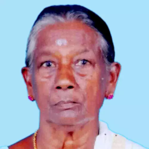 പാ​റു അ​മ്മ