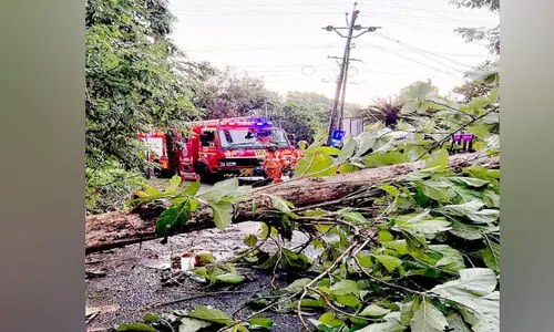 കാ​റ്റി​ലും മ​ഴ​യി​ലും വ്യാ​പ​ക നാ​ശം