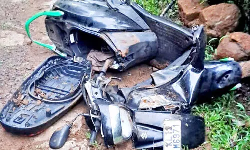 wild elephant wild elephant