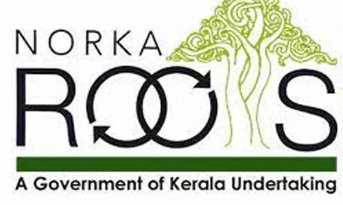 നോർക്ക കാർഗോനിരക്ക് നൽകും നോർക്ക കാർഗോനിരക്ക് നൽകും