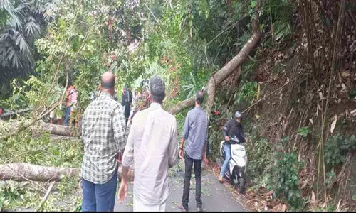 ദേശീയപാതയിൽ മരം വീണ് വീണ്ടും ഗതാഗത തടസ്സം ദേശീയപാതയിൽ മരം വീണ് വീണ്ടും ഗതാഗത തടസ്സം