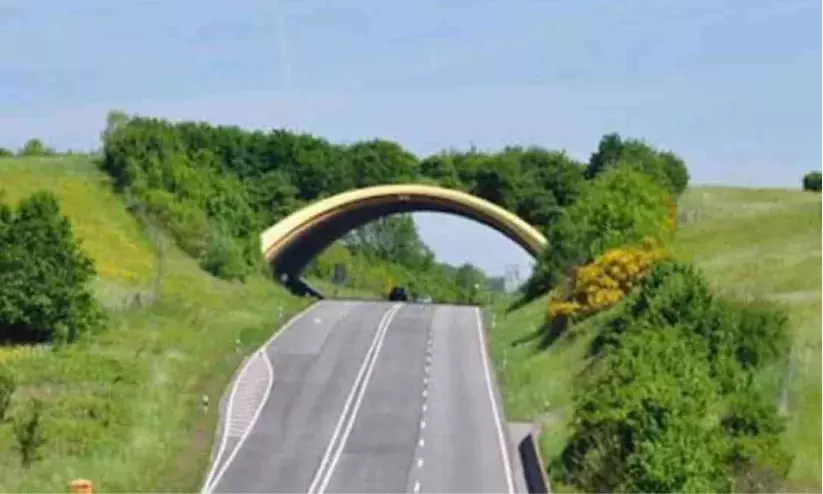 എങ്ങുമെത്താതെ ​   വൈൽഡ്​ ലൈഫ്​    ക്രോസിങ്​​ പദ്ധതി  വ​ന്യ​മൃ​ഗ​ങ്ങ​ള്‍ റോ​ഡി​ലി​റ​ങ്ങു​ന്ന​ത് ത​ട​യാ​ന്‍ നി​ല​വി​ല്‍ സം​വി​ധാ​ന​ങ്ങ​ളൊ​ന്നു​മി​ല്ല