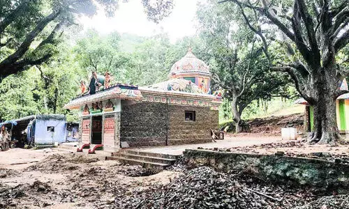 അരിക്കൊമ്പൻ കാട്ടിൽത്തന്നെ; സിഗ്​നൽ കിട്ടുന്നില്ല