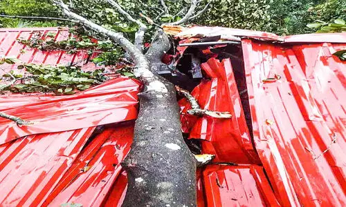 കാറ്റിൽ എ​രു​മേ​ലിയിൽ വ്യാപക നാശം