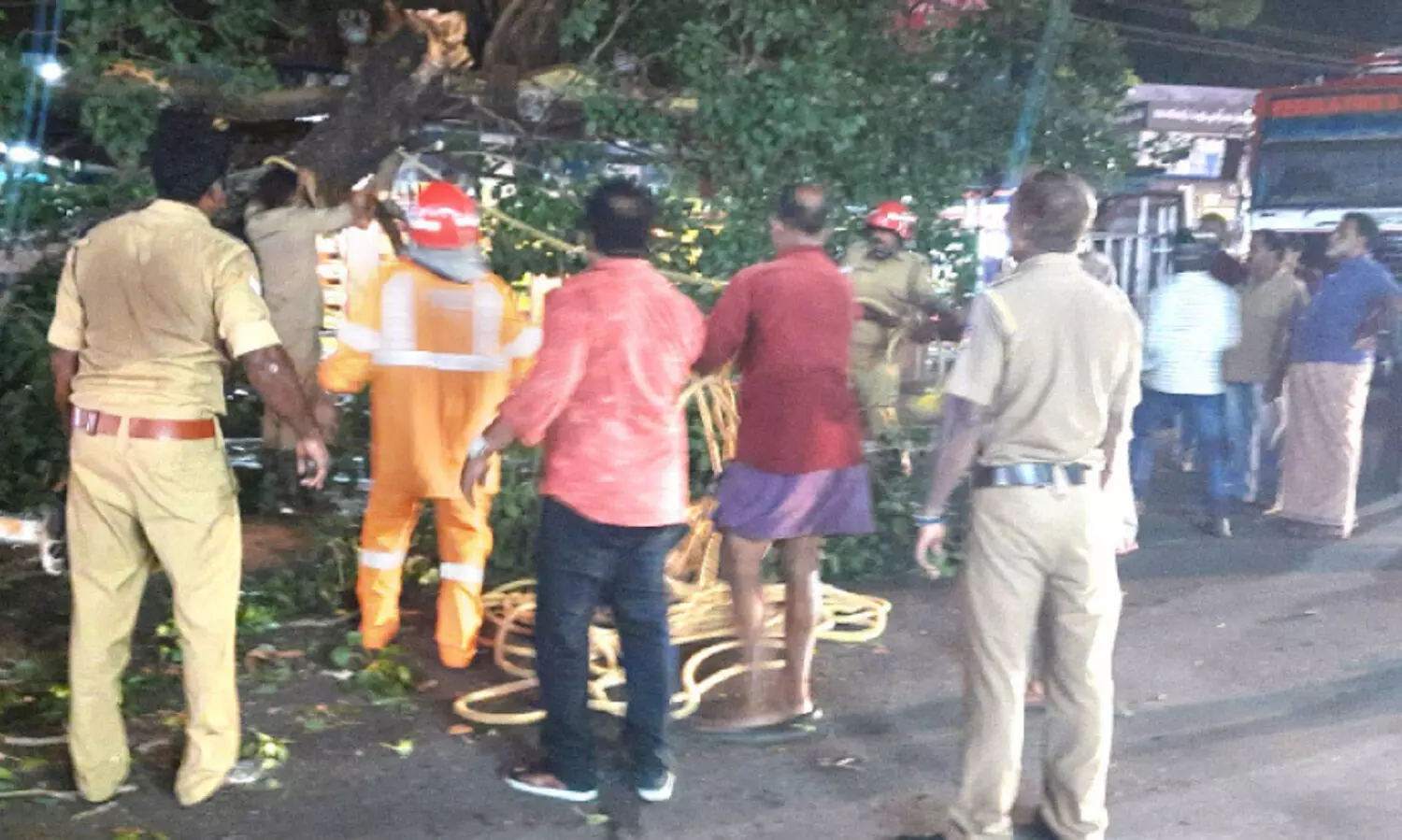 മരക്കൊമ്പ്​ ഒടിഞ്ഞുവീണു; ദേശീയപാതയിൽ ഗതാഗതം മുടങ്ങി