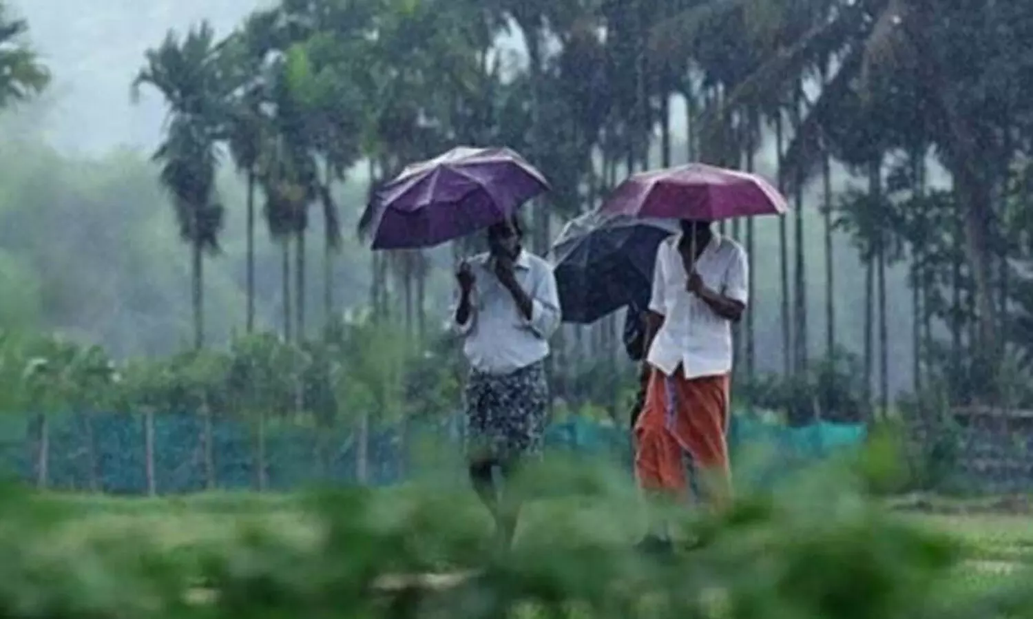 ഇടിമിന്നലോടുകൂടിയ മഴക്ക് സാധ്യത