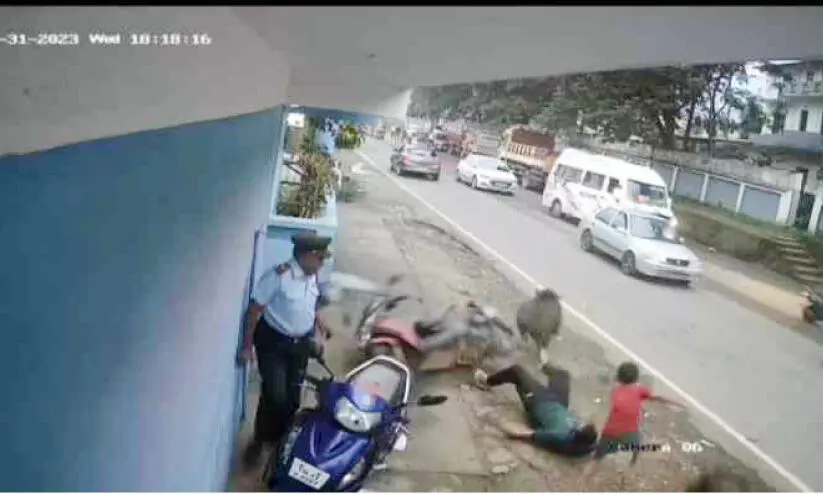 വിരണ്ടോടിയ കാട്ടുപന്നി ആക്രമണത്തിൽ പരിക്ക് വിരണ്ടോടിയ കാട്ടുപന്നി ആക്രമണത്തിൽ പരിക്ക്