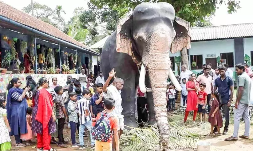 ‘അരിക്കൊമ്പൻ’ സ്കൂൾ മുറ്റത്ത്​ !