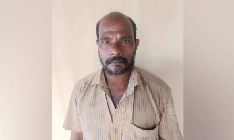 പോക്സോ കേസ് പ്രതി പിടിയിൽ പോക്സോ കേസ് പ്രതി പിടിയിൽ