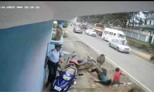 വിരണ്ടോടിയ കാട്ടുപന്നി ആക്രമണത്തിൽ പരിക്ക് വിരണ്ടോടിയ കാട്ടുപന്നി ആക്രമണത്തിൽ പരിക്ക്