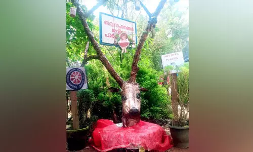 പ്ലാസ്റ്റിക് കുപ്പികളിൽ നിന്ന്​ കലമാന്‍ തല