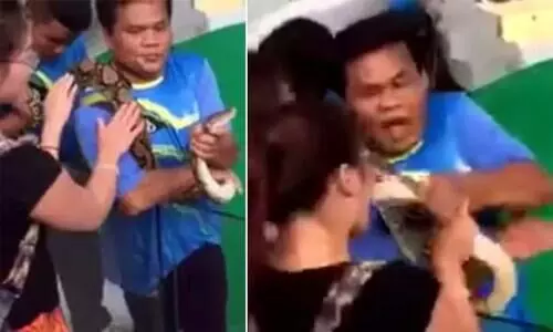 Woman Kisses Snake, It