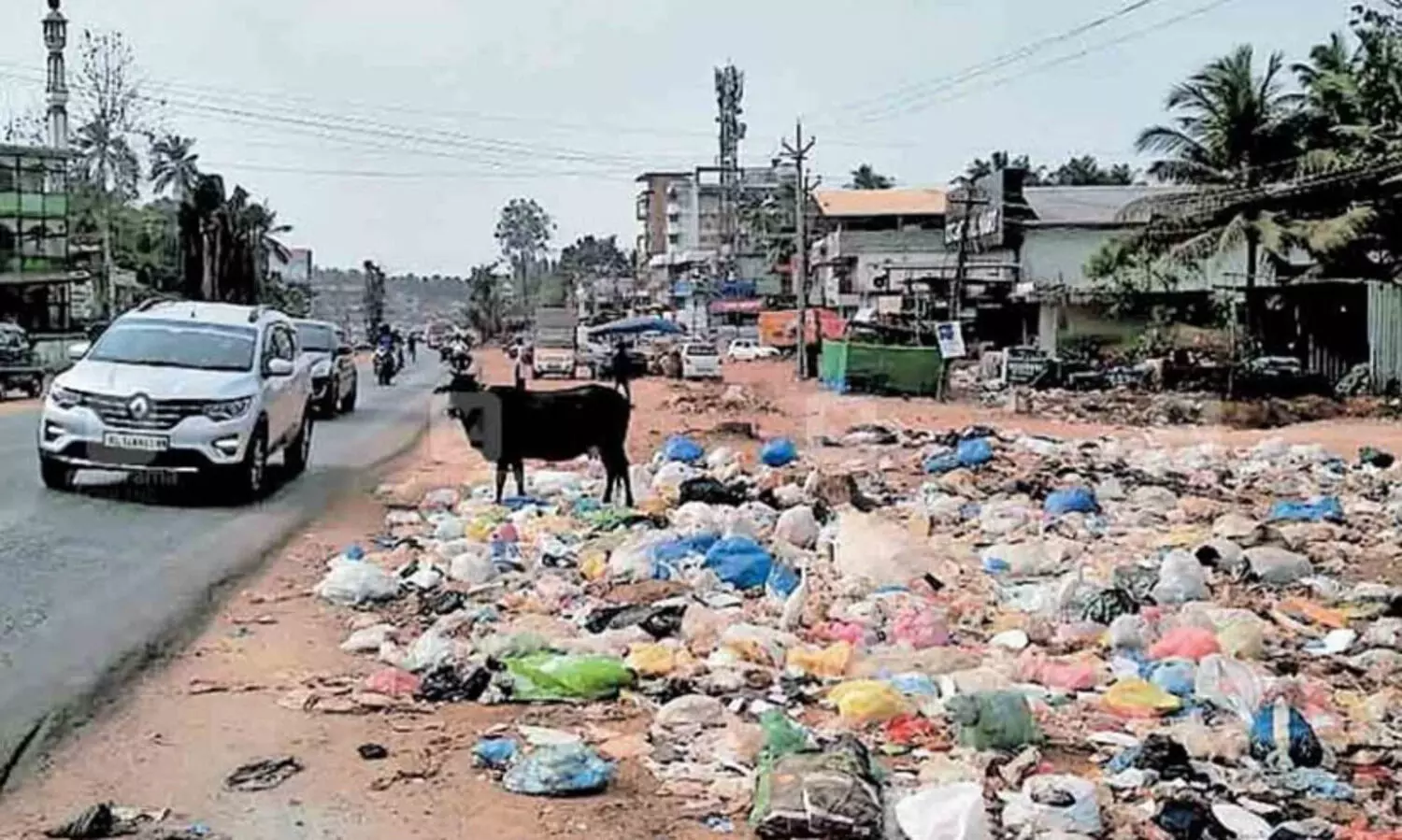 മാലിന്യം തള്ളല്‍: 12 പൊലീസ് കേസുകള്‍