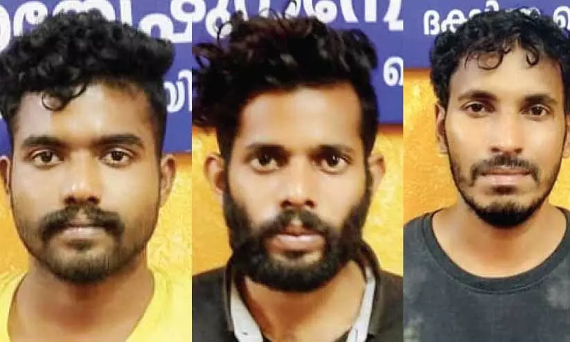 റെയിൽവേ സ്റ്റേഷനിൽനിന്ന് 13.8 കിലോ കഞ്ചാവ് പിടികൂടി; മൂന്നുപേർ അറസ്റ്റിൽ റെയിൽവേ സ്റ്റേഷനിൽനിന്ന് 13.8 കിലോ കഞ്ചാവ് പിടികൂടി; മൂന്നുപേർ അറസ്റ്റിൽ