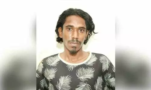 കഞ്ചാവ് ചെടി വളർത്തിയ യുവാവ് അറസ്റ്റിൽ