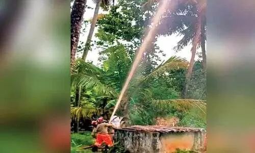 മിന്നലിൽ വീടിന് നാശം; തെങ്ങിന് തീപിടിച്ചു മിന്നലിൽ വീടിന് നാശം; തെങ്ങിന് തീപിടിച്ചു