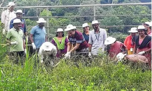 ജീവനക്കാര്‍ മനസ്സുവെച്ചു; കലക്​ടറേറ്റ്​ ക്ലീൻ
