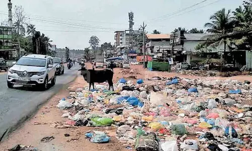 മാലിന്യം തള്ളല്‍: 12 പൊലീസ് കേസുകള്‍