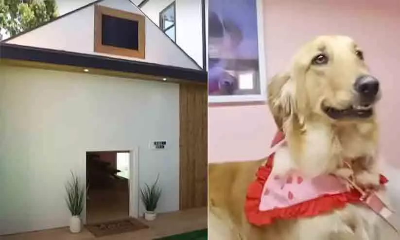 Man builds ₹ 16 lakh pet house for dogs birthday