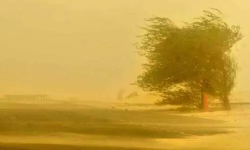 കാറ്റും പൊടിയും നിറഞ്ഞ ദിനം