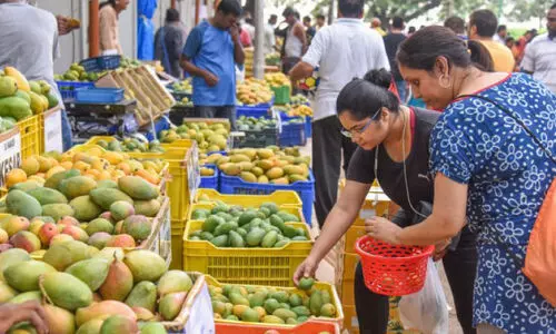 കൊ​തി​യൂ​റും മാ​മ്പ​ഴം; ലാ​ൽ​ബാ​ഗി​ൽ മേ​ള തു​ട​ങ്ങി