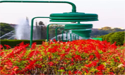 വൃ​ന്ദാ​വ​ൻ ഉ​ദ്യാ​നം വീ​ണ്ടും തു​റ​ന്നു