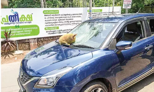 ഓ​ടു​ന്ന കാ​റി​ന് മു​ക​ളി​ൽ ച​ക്ക വീ​ണ് ഗ്ലാ​സ് ത​ക​ർ​ന്നു