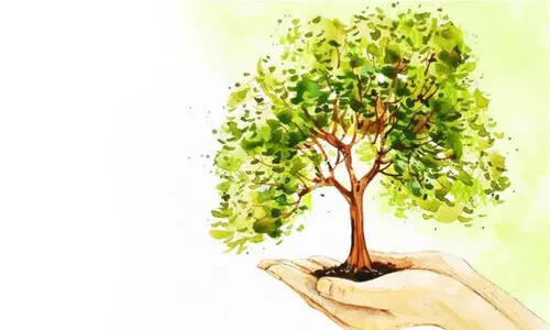 നാളെ പരിസ്ഥിതി ദിനം  നാടെങ്ങും വൃക്ഷത്തൈ വിതരണത്തിന്​ ഒരുക്കവുമായി വനം വകുപ്പ്